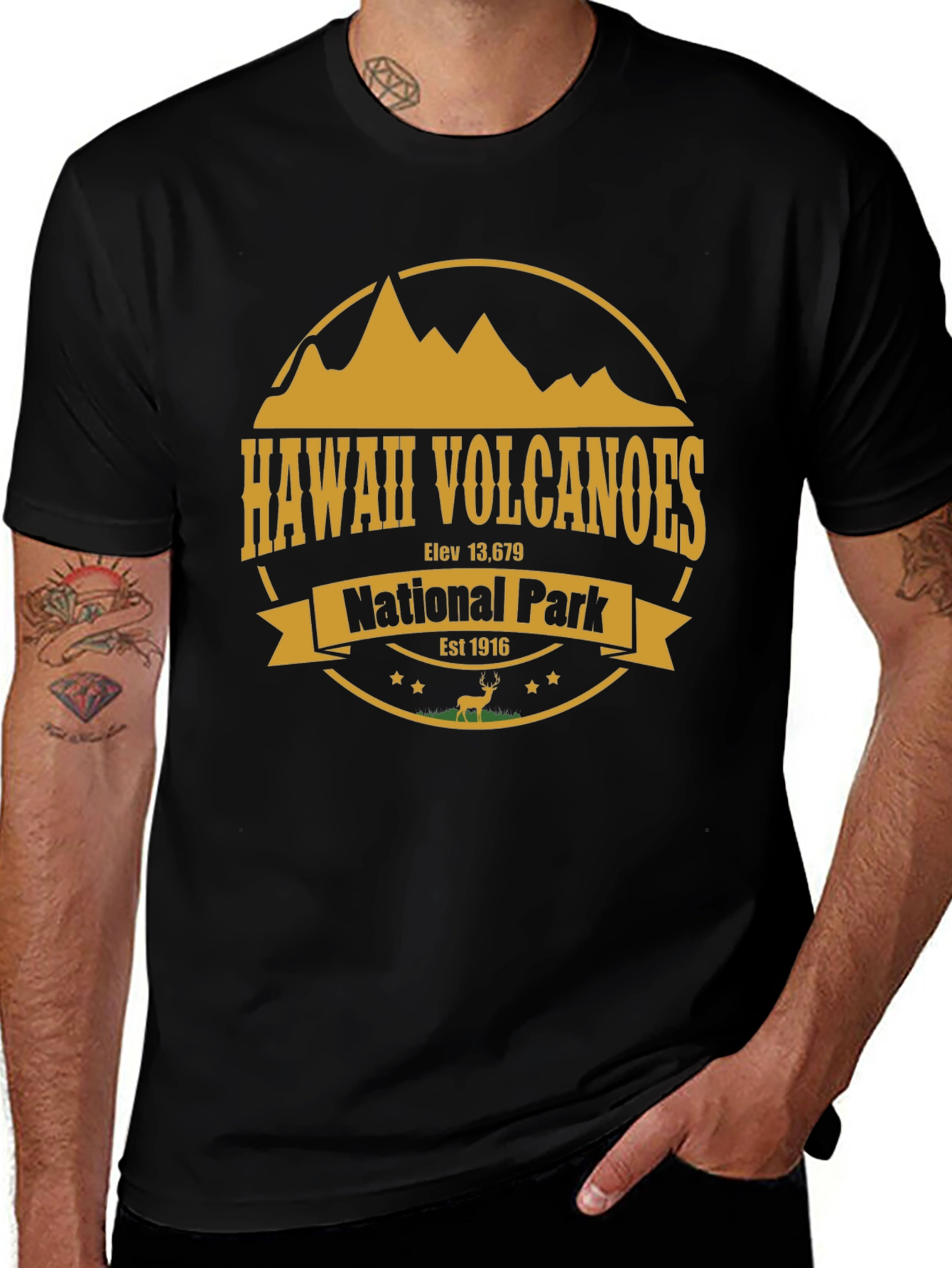 Hawaii Volcanoes National Park T-Shirt
