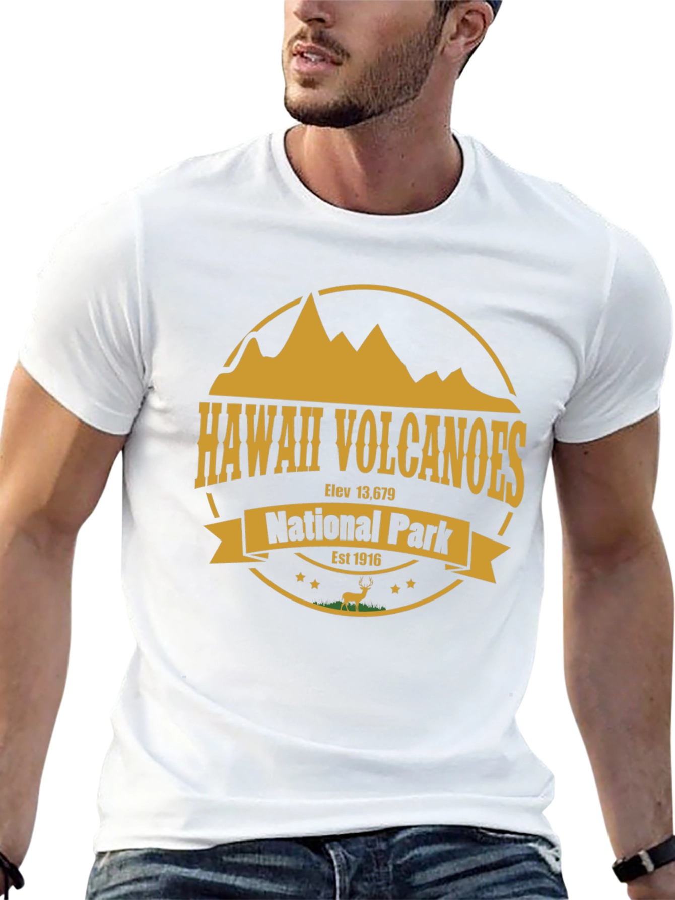 Hawaii Volcanoes National Park T-Shirt
