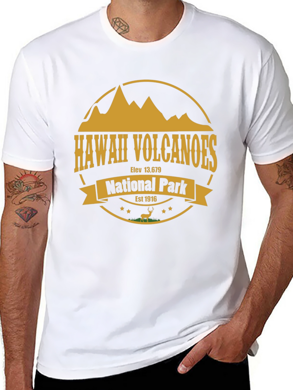 Hawaii Volcanoes National Park T-Shirt