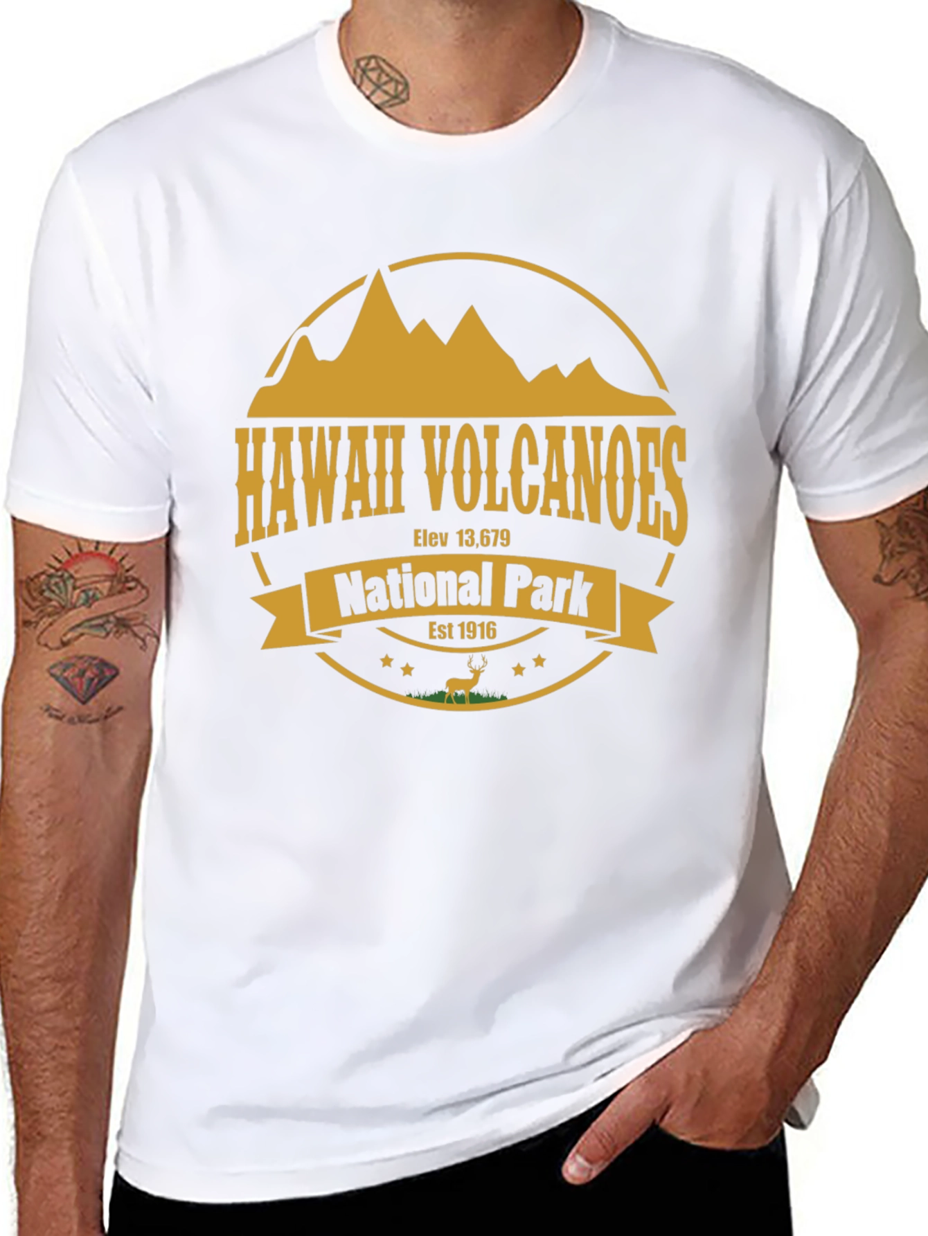 Hawaii Volcanoes National Park T-Shirt