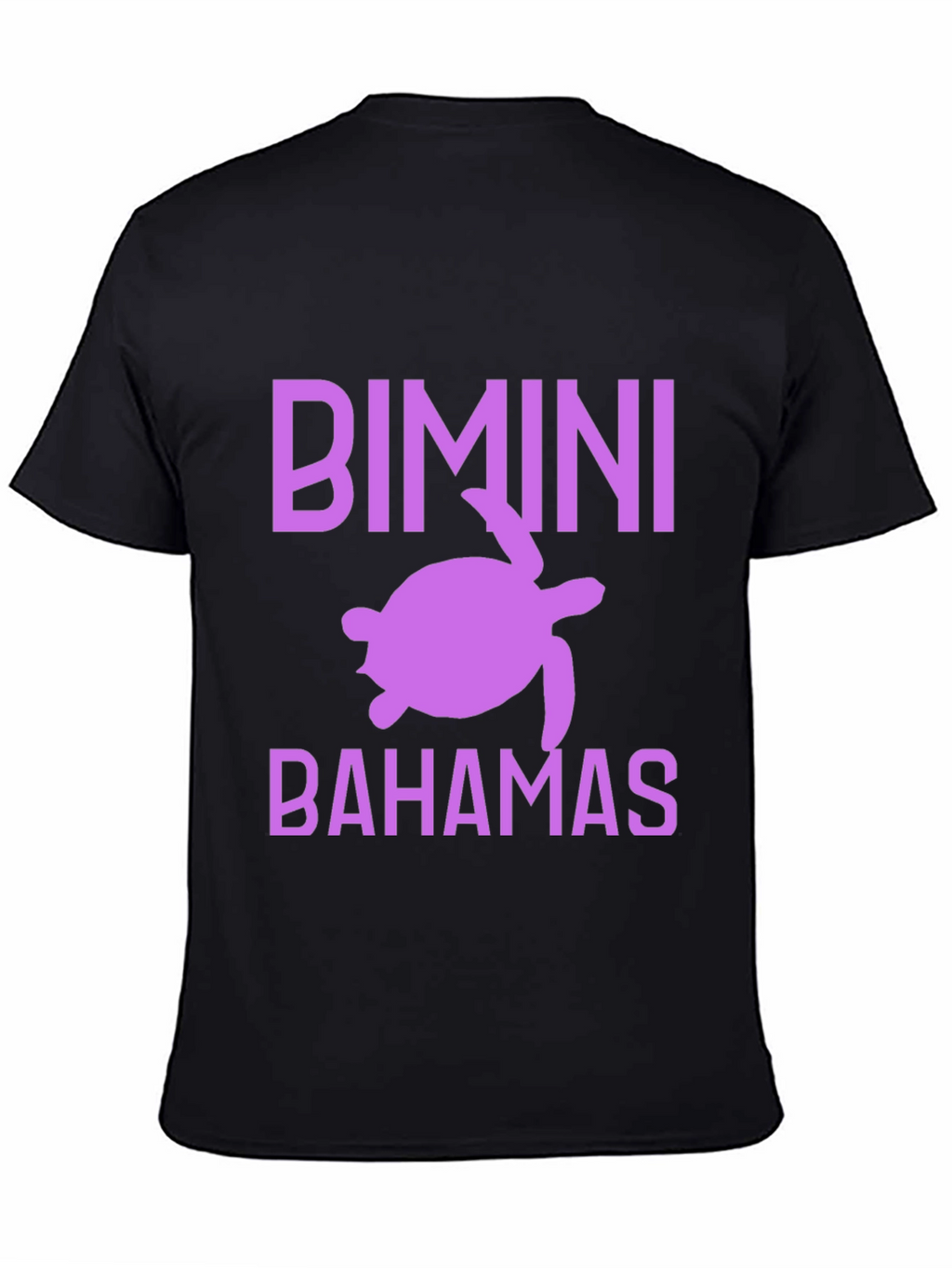 Bimini Bahamas Turtle Graphic Tee