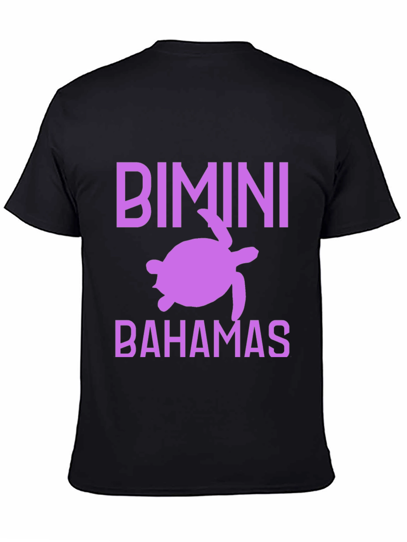 Bimini Bahamas Turtle Graphic Tee