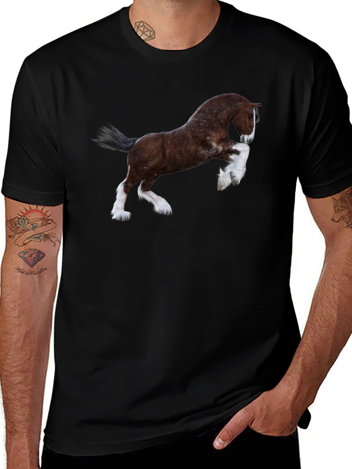 Majestic Horse Graphic Tee - Black Cotton T-Shirt