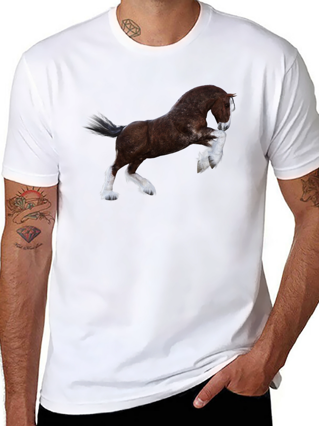 Majestic Horse Graphic Tee - Black Cotton T-Shirt