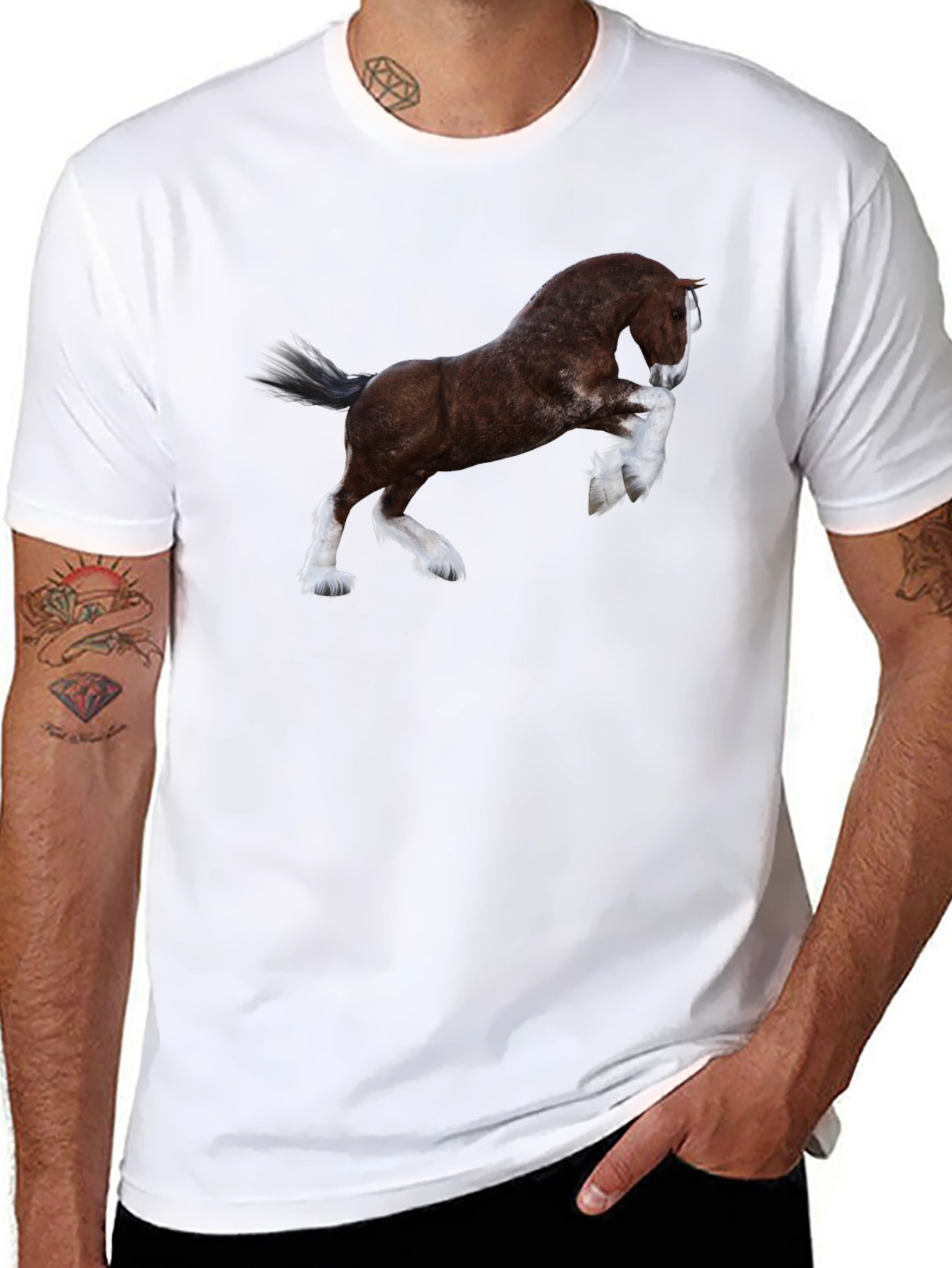 Majestic Horse Graphic Tee - Black Cotton T-Shirt