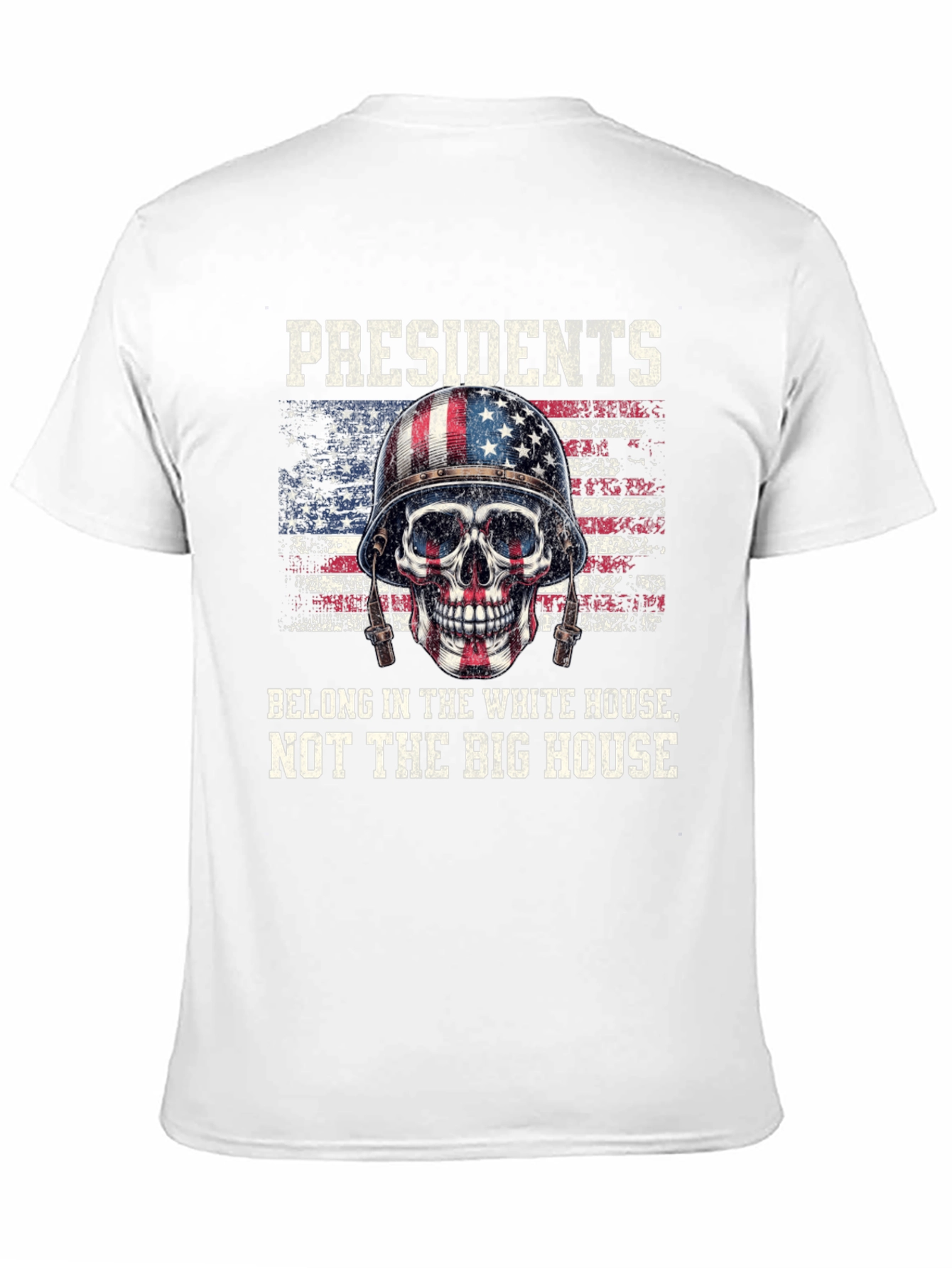 Presidents White House Graphic Tee