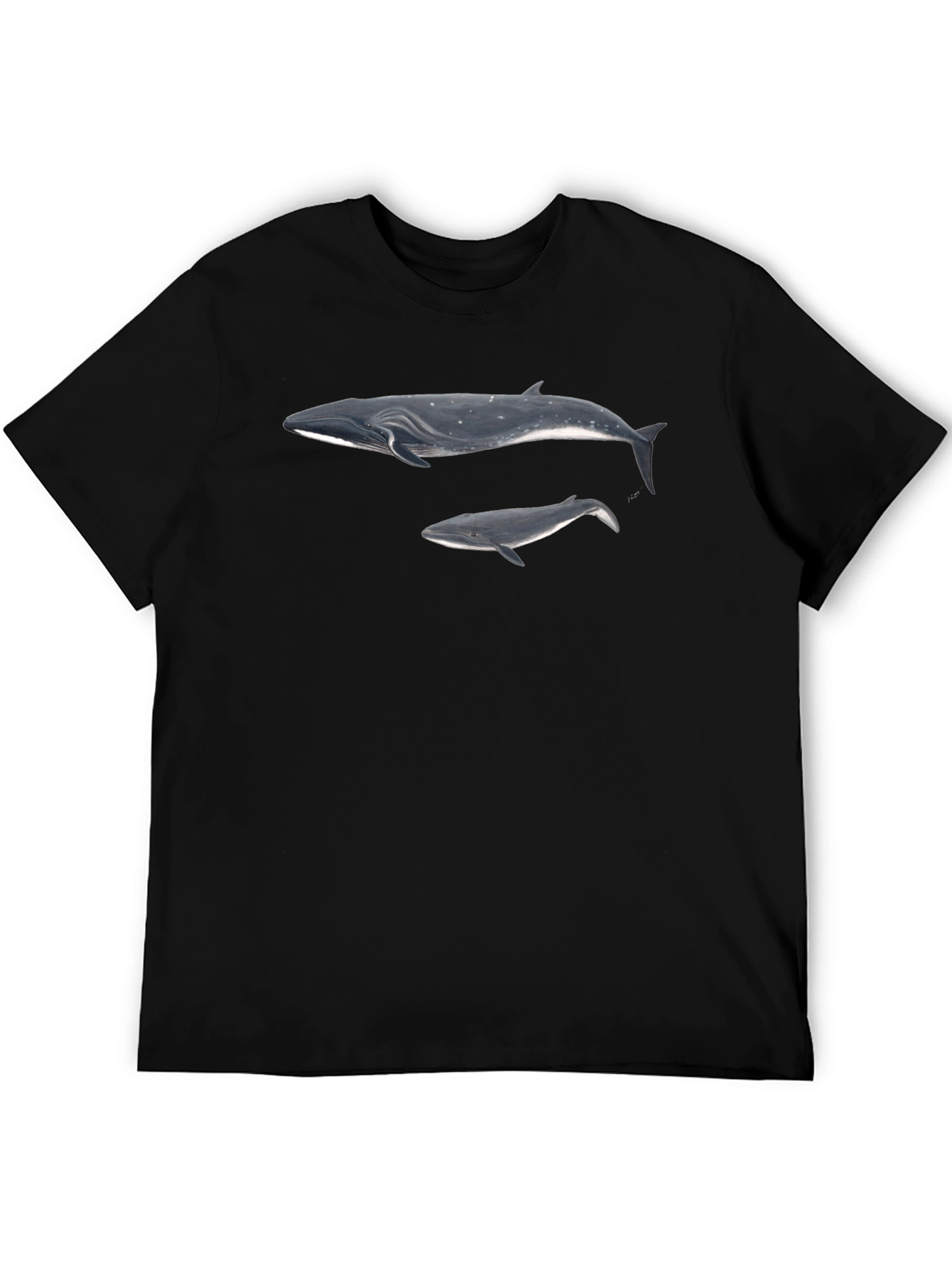 Whale Graphic Black T-Shirt for Men