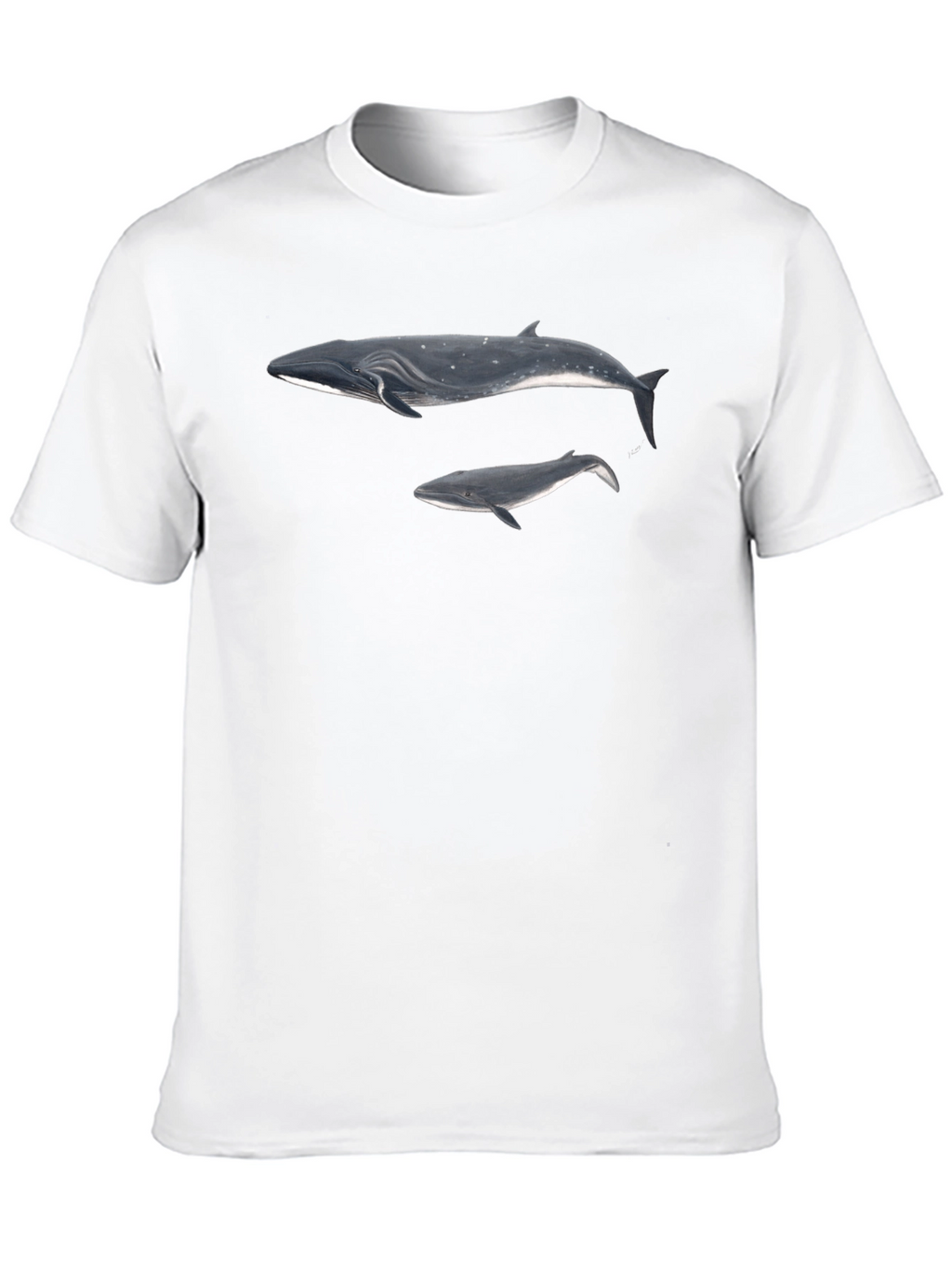Whale Graphic Black T-Shirt for Men