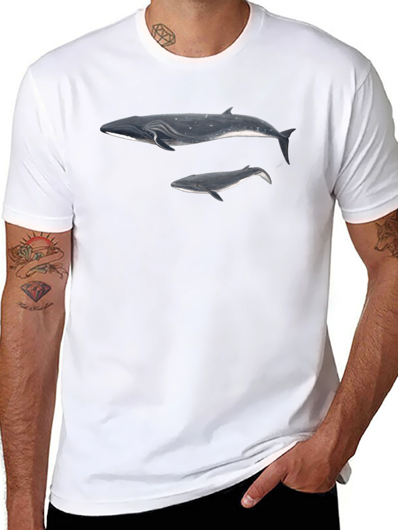 Whale Graphic Black T-Shirt for Men