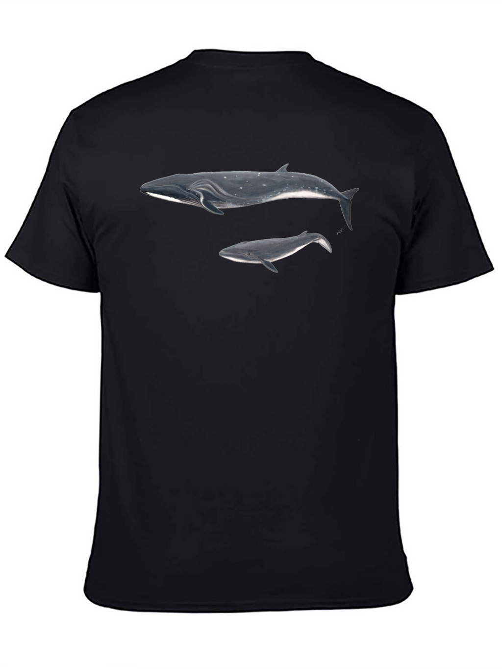Whale Graphic Black T-Shirt for Men