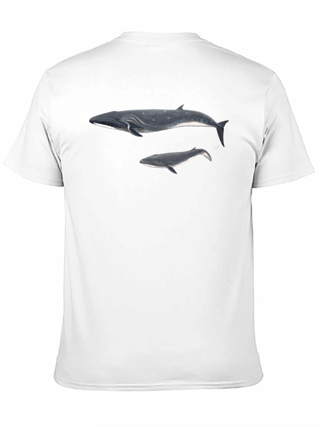 Whale Graphic Black T-Shirt for Men