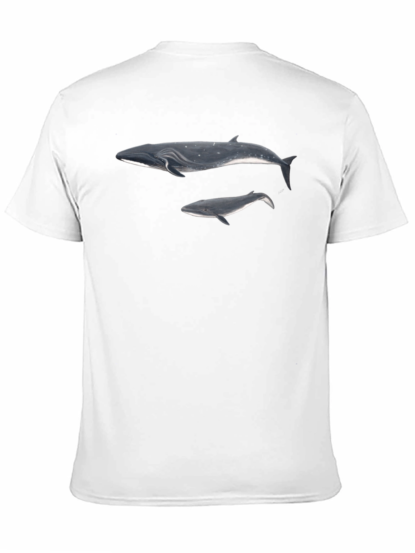 Whale Graphic Black T-Shirt for Men