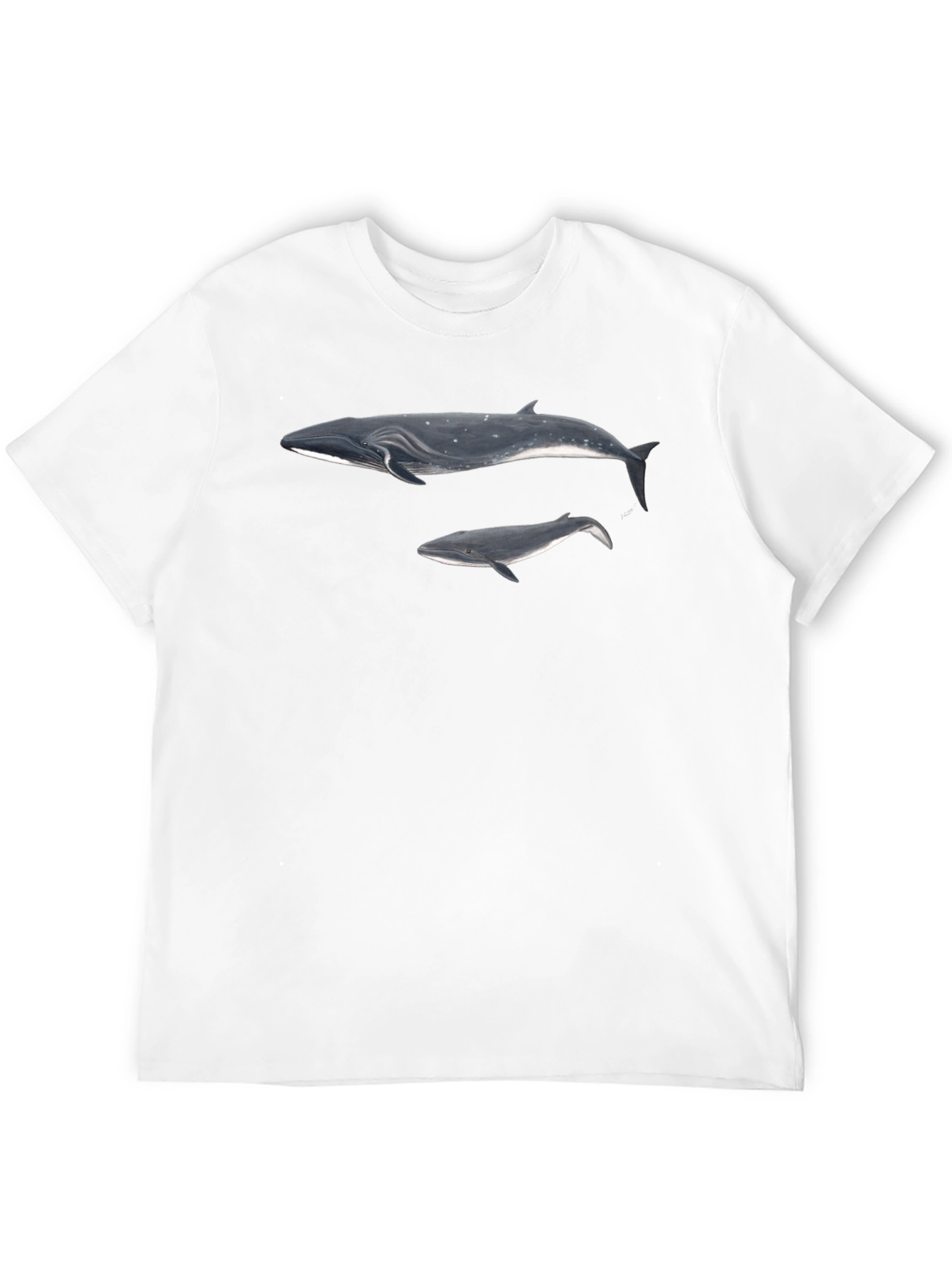 Whale Graphic Black T-Shirt for Men