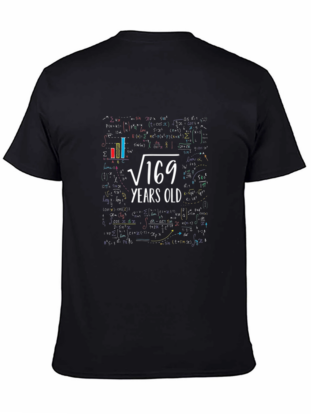 Square Root 169 Years Old Math T-Shirt