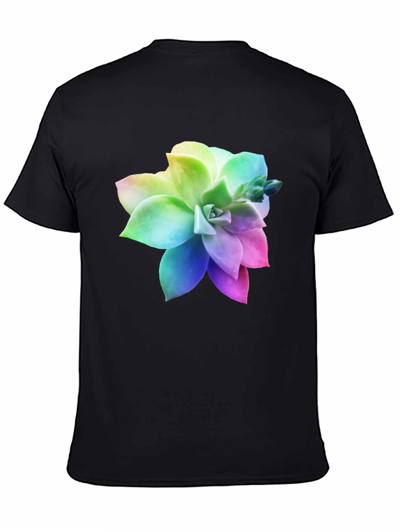 Rainbow Succulent Graphic Black T-Shirt