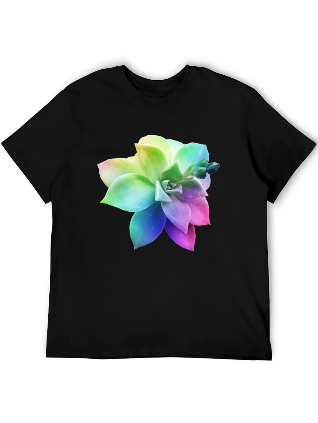 Rainbow Succulent Graphic Black T-Shirt