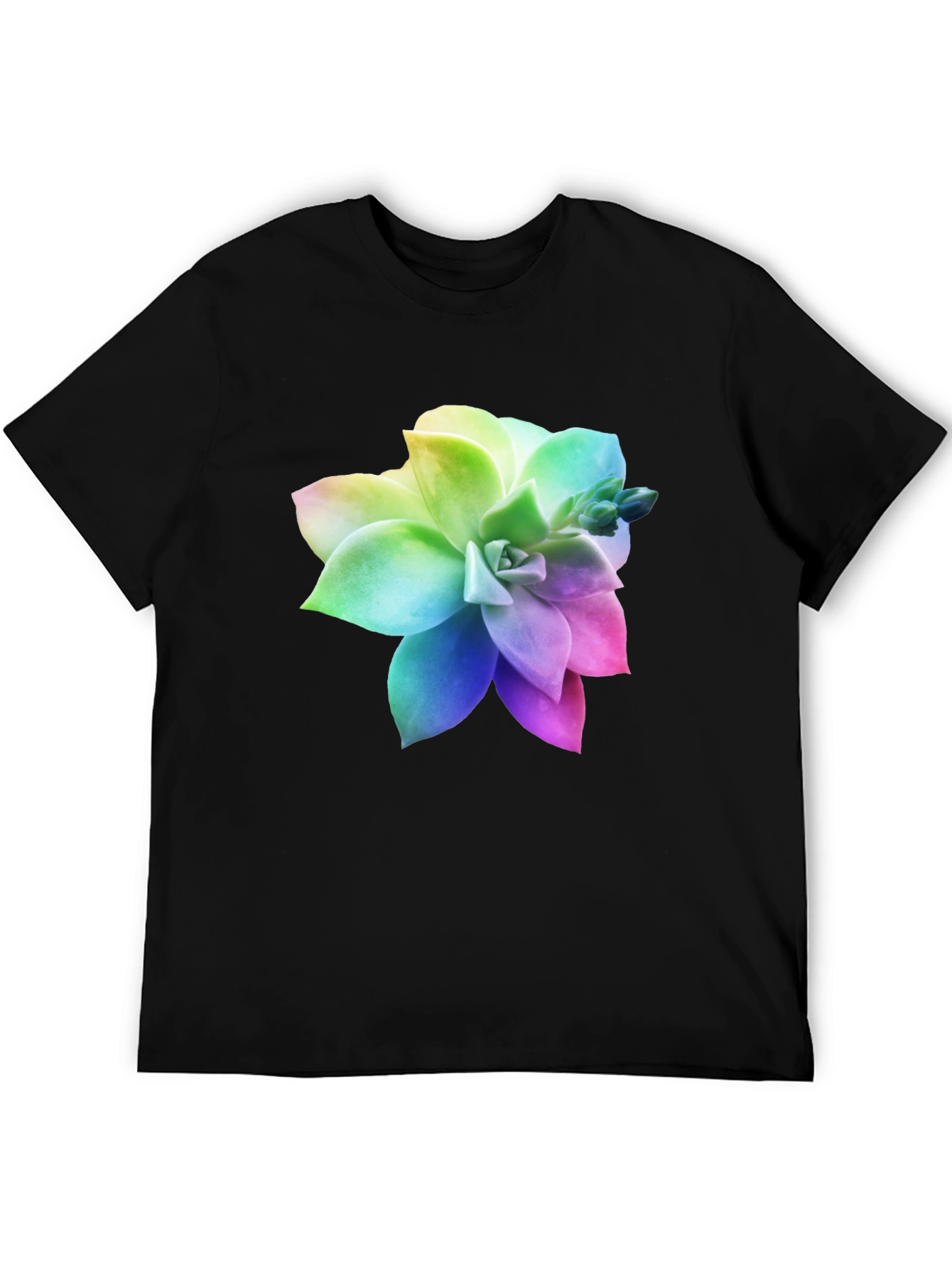 Rainbow Succulent Graphic Black T-Shirt