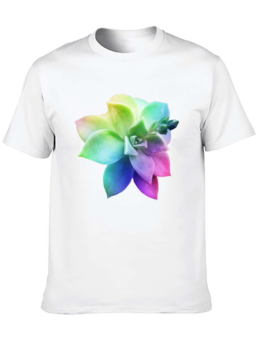 Rainbow Succulent Graphic Black T-Shirt