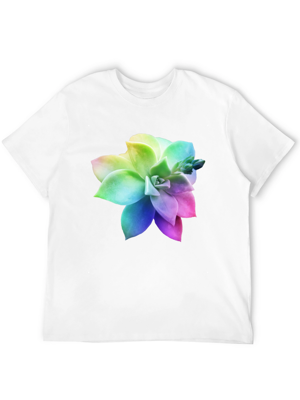 Rainbow Succulent Graphic Black T-Shirt