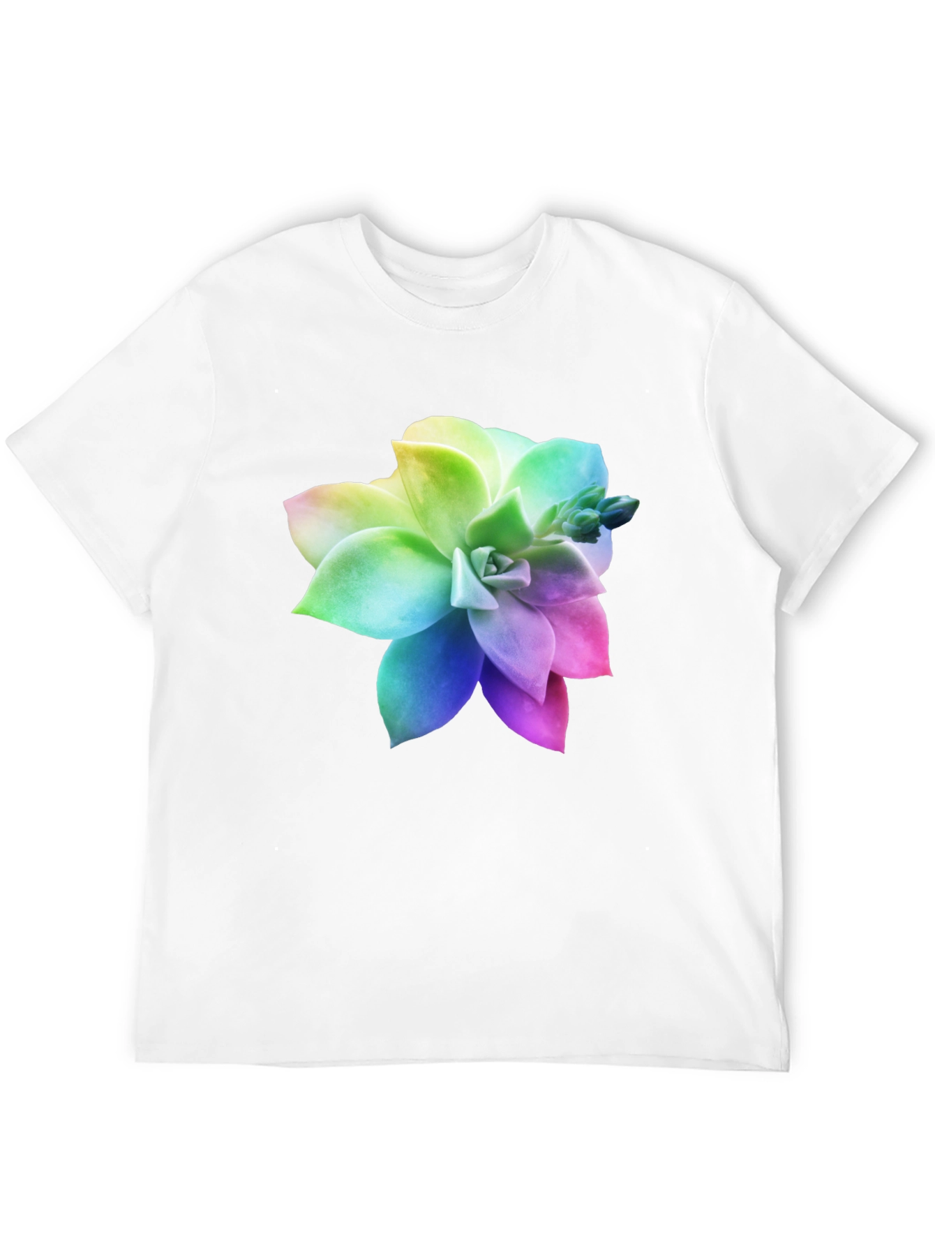 Rainbow Succulent Graphic Black T-Shirt