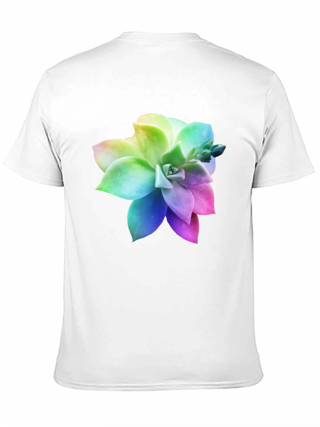 Rainbow Succulent Graphic Black T-Shirt