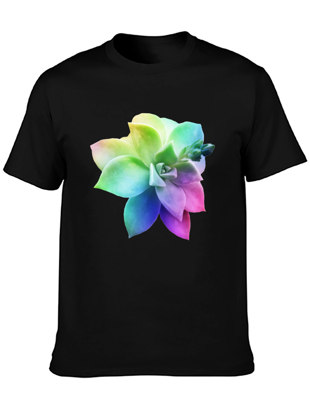 Rainbow Succulent Graphic Black T-Shirt