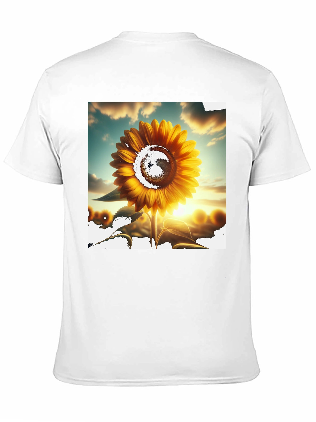 Sunflower Graphic Tee - Black Casual T-Shirt