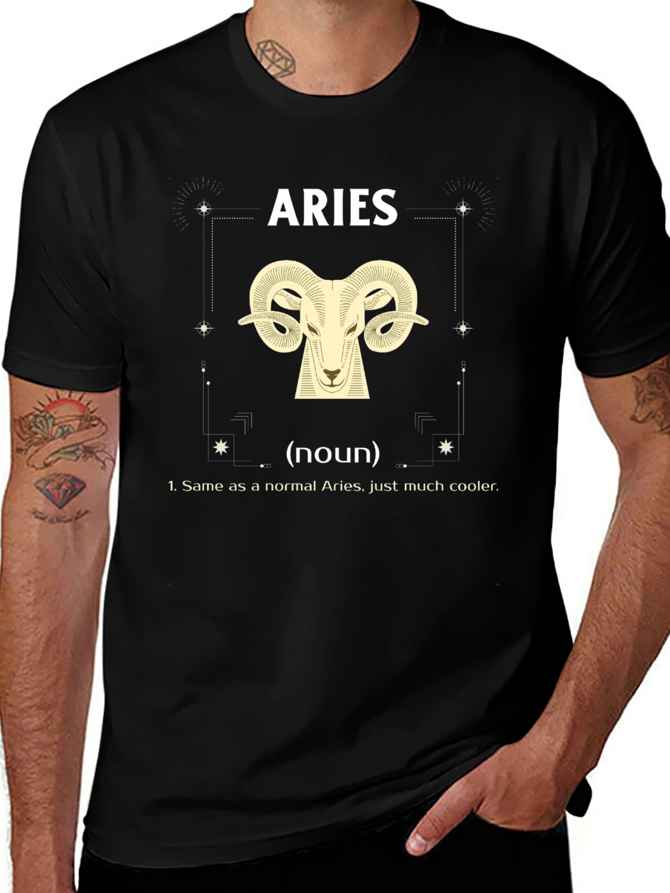 Aries Zodiac T-Shirt - Cooler Definition