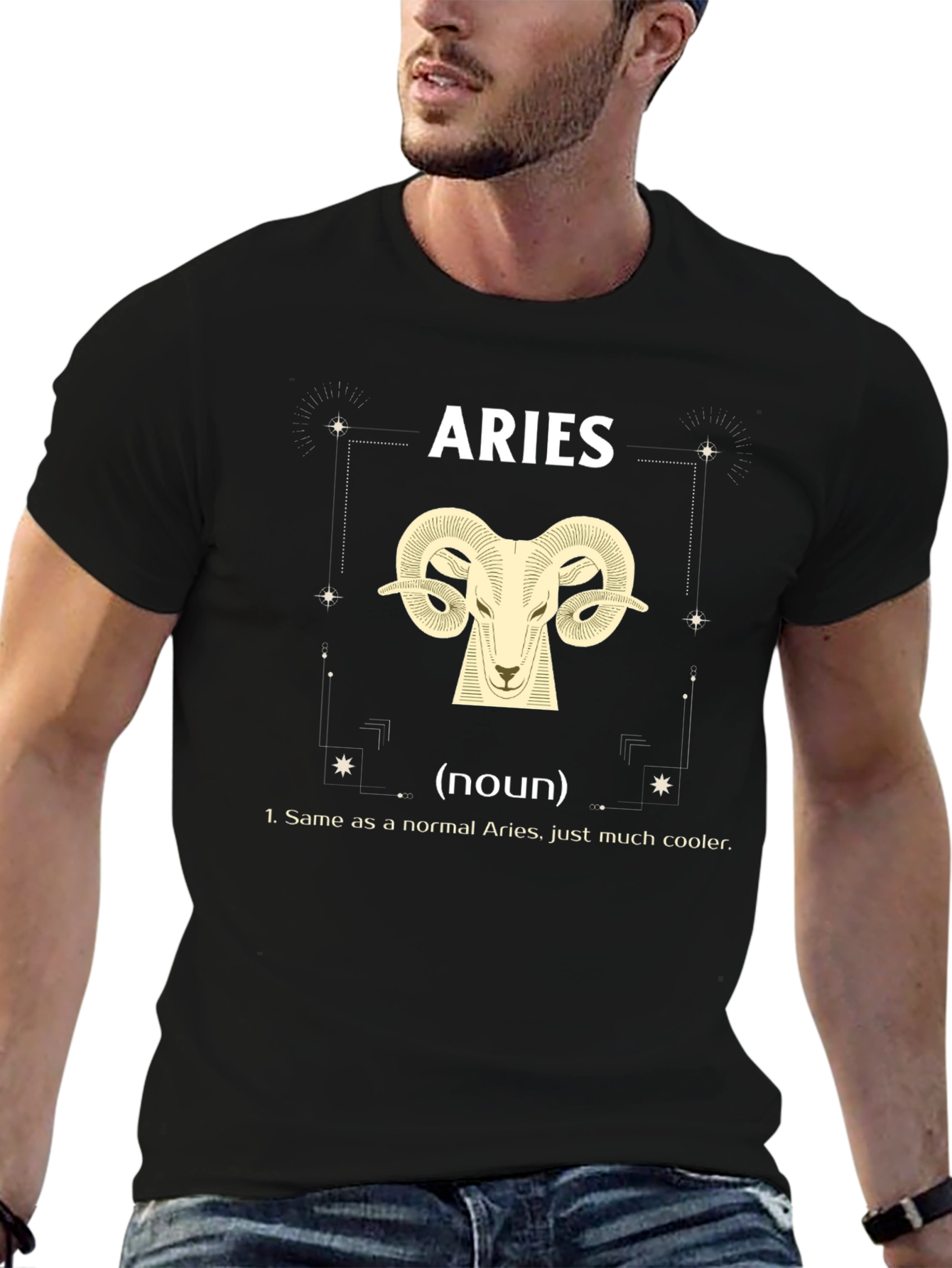 Aries Zodiac T-Shirt - Cooler Definition