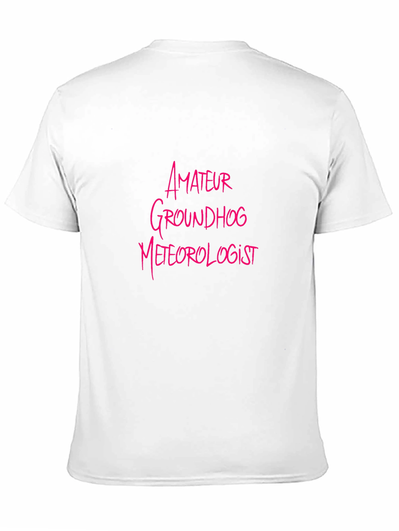 Amateur Groundhog Meteorologist Black T-Shirt