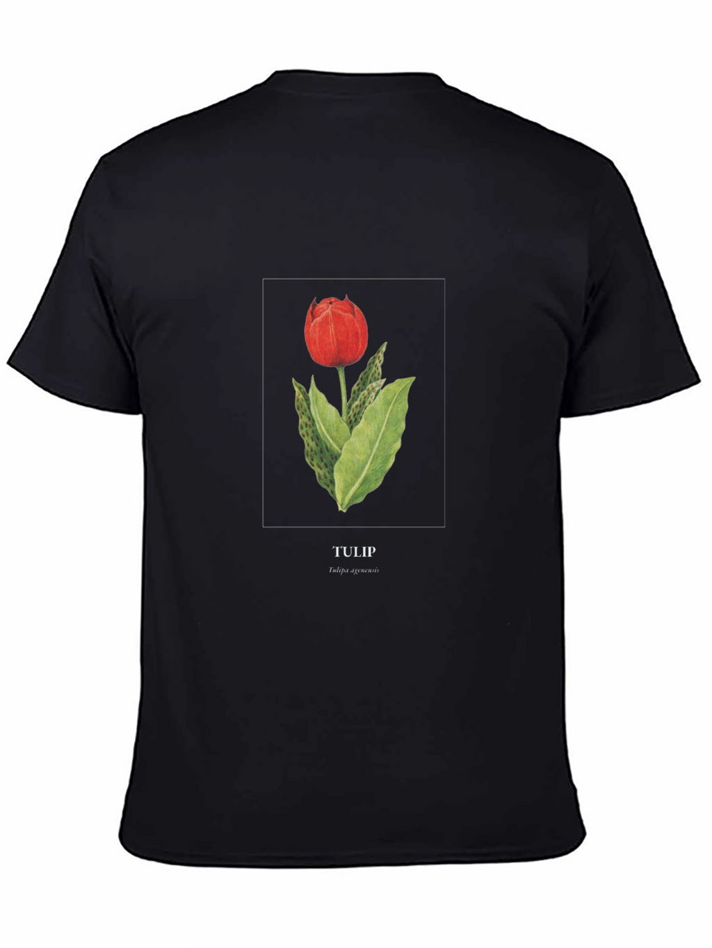 Tulip Graphic Black T-Shirt