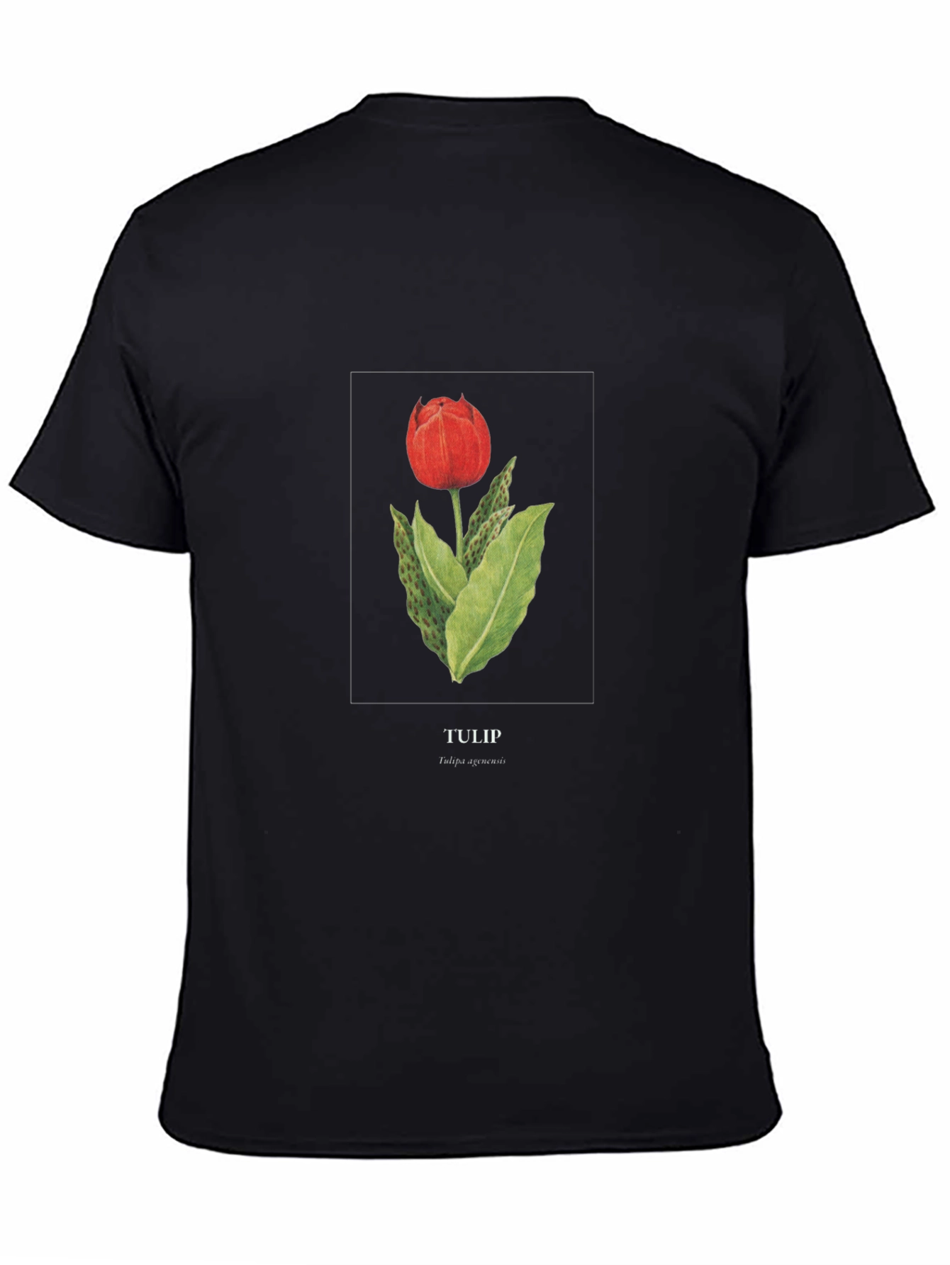 Tulip Graphic Black T-Shirt