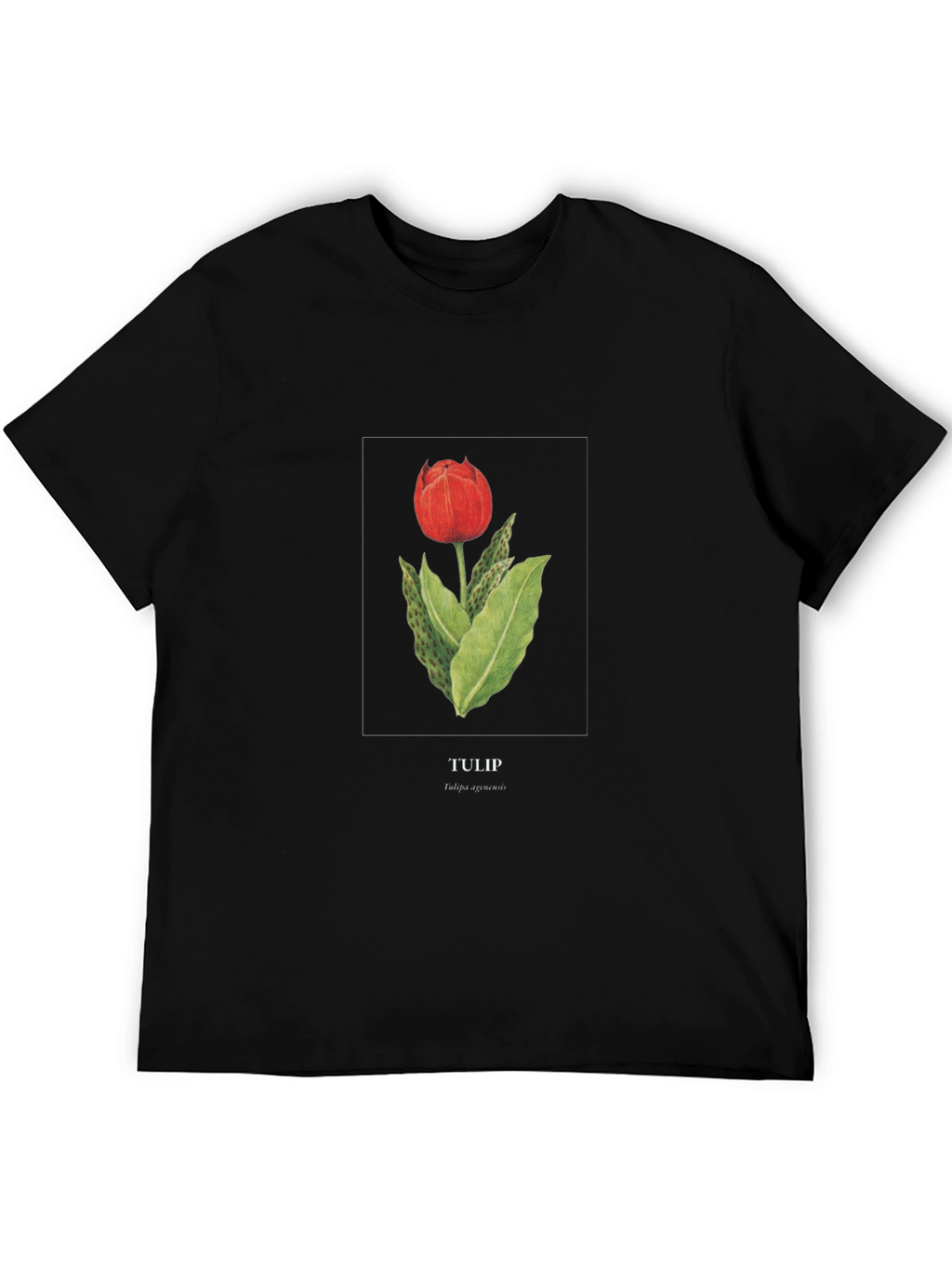 Tulip Graphic Black T-Shirt