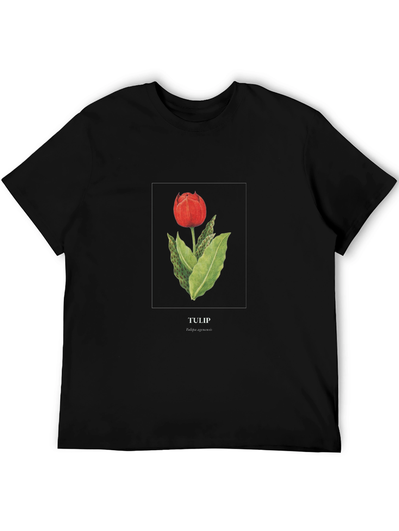 Tulip Graphic Black T-Shirt