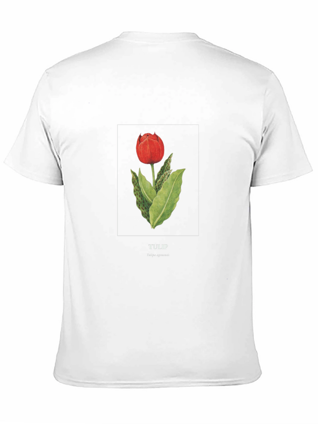 Tulip Graphic Black T-Shirt