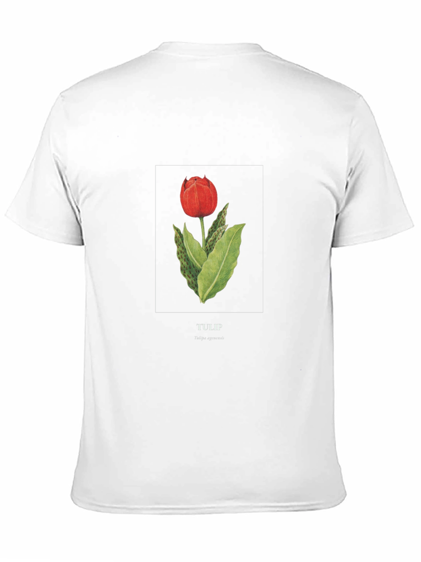 Tulip Graphic Black T-Shirt