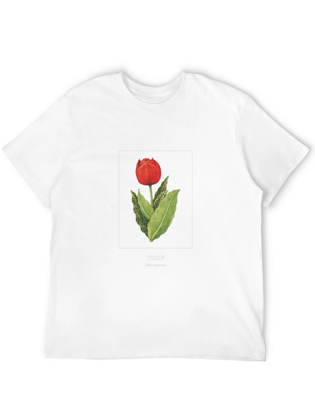Tulip Graphic Black T-Shirt