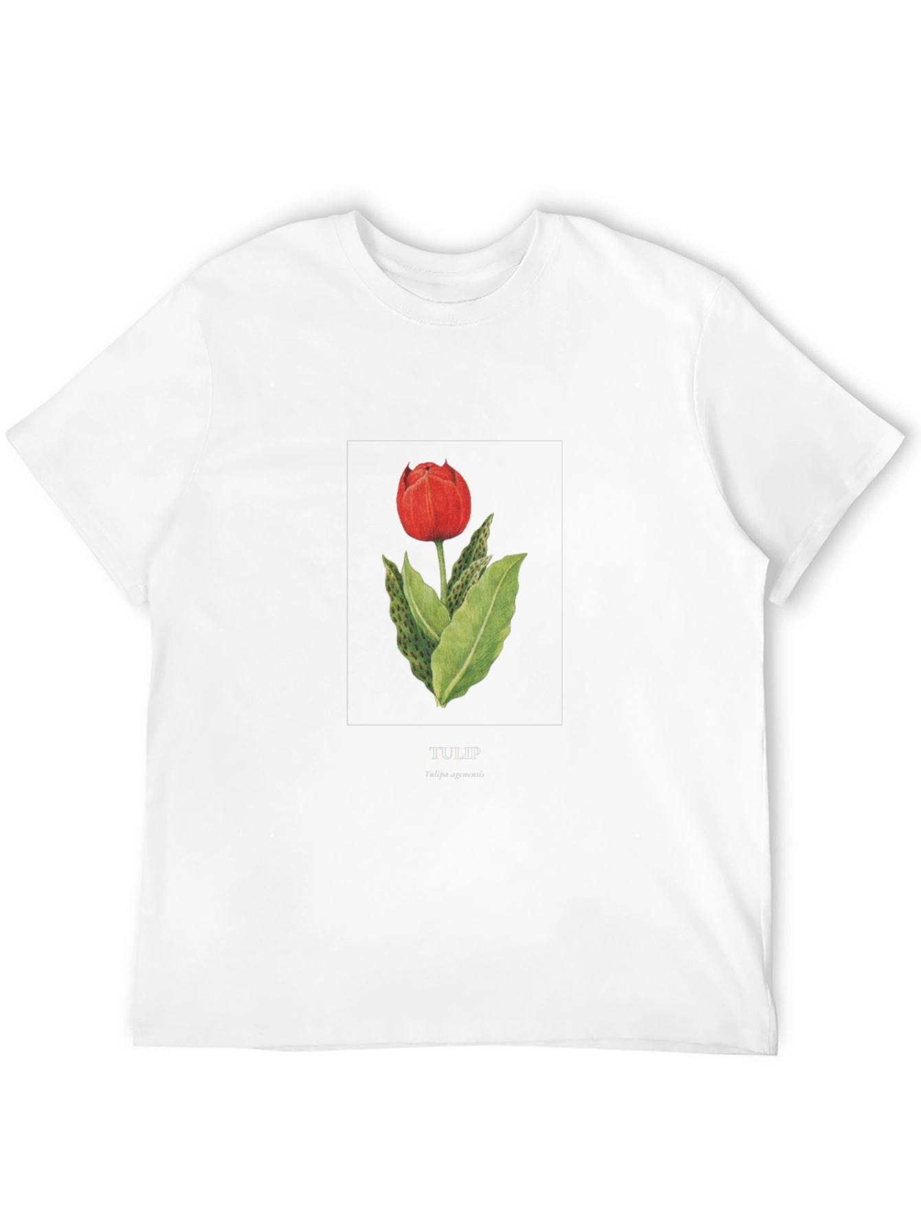Tulip Graphic Black T-Shirt