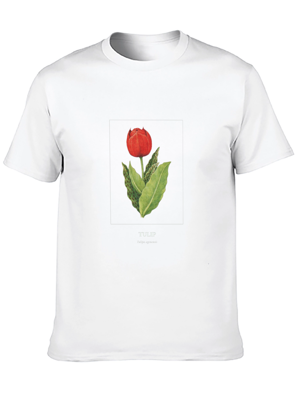 Tulip Graphic Black T-Shirt