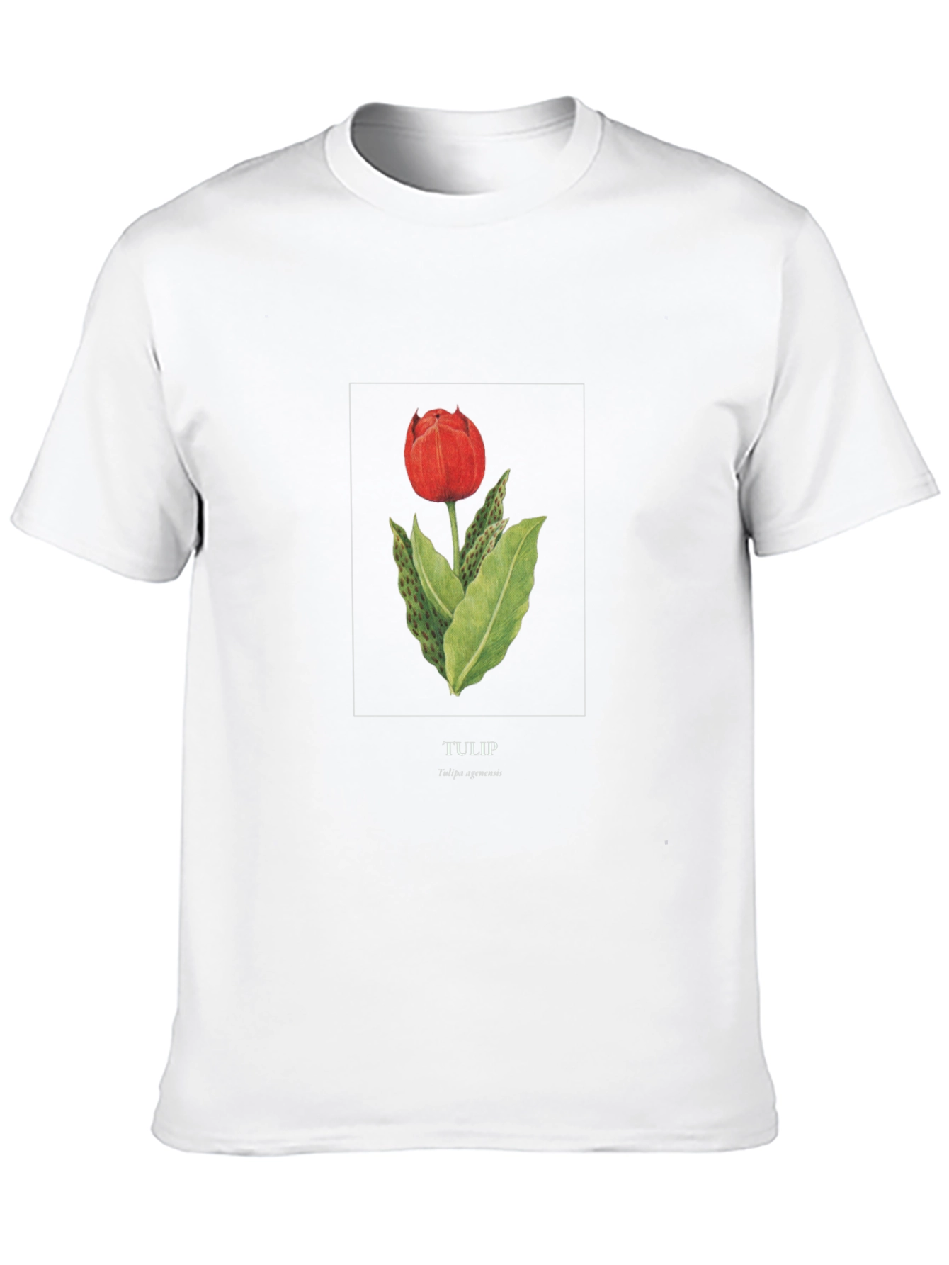 Tulip Graphic Black T-Shirt