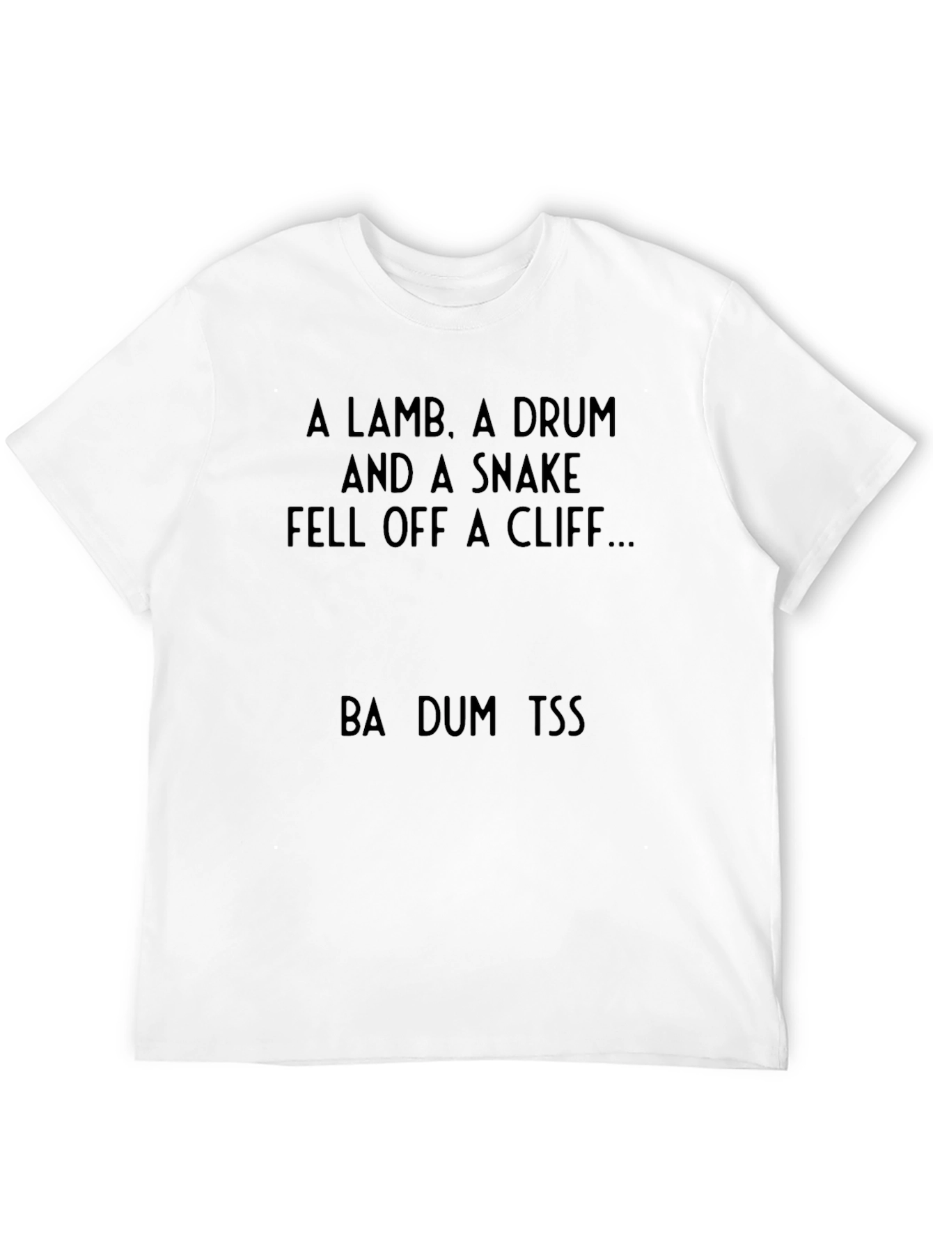 Punny T-Shirt: A Lamb A Drum and A Snake