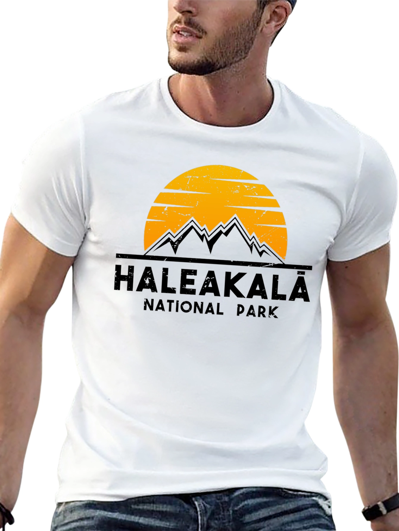 Haleakala National Park Graphic Tee - Black