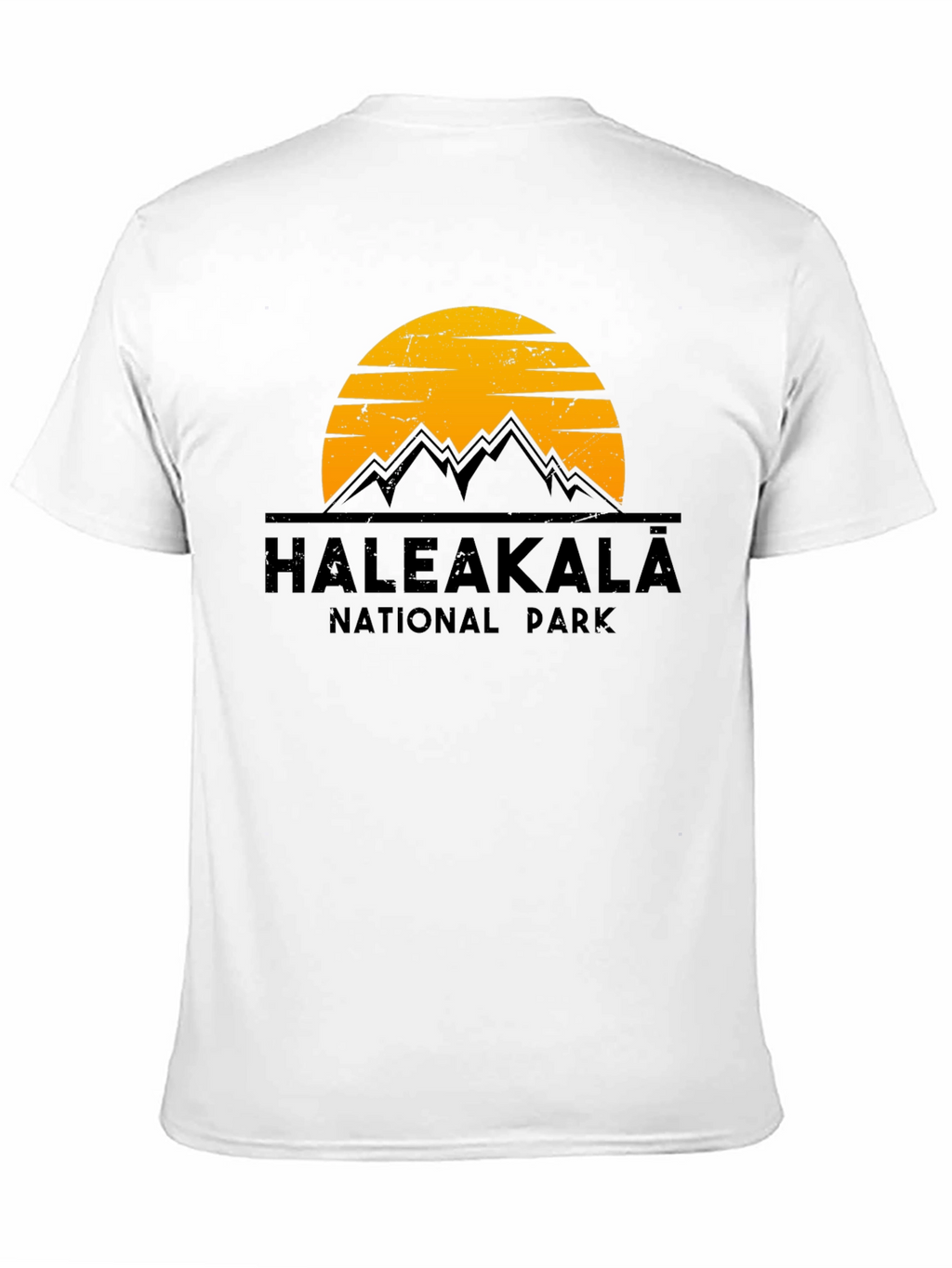 Haleakala National Park Graphic Tee - Black