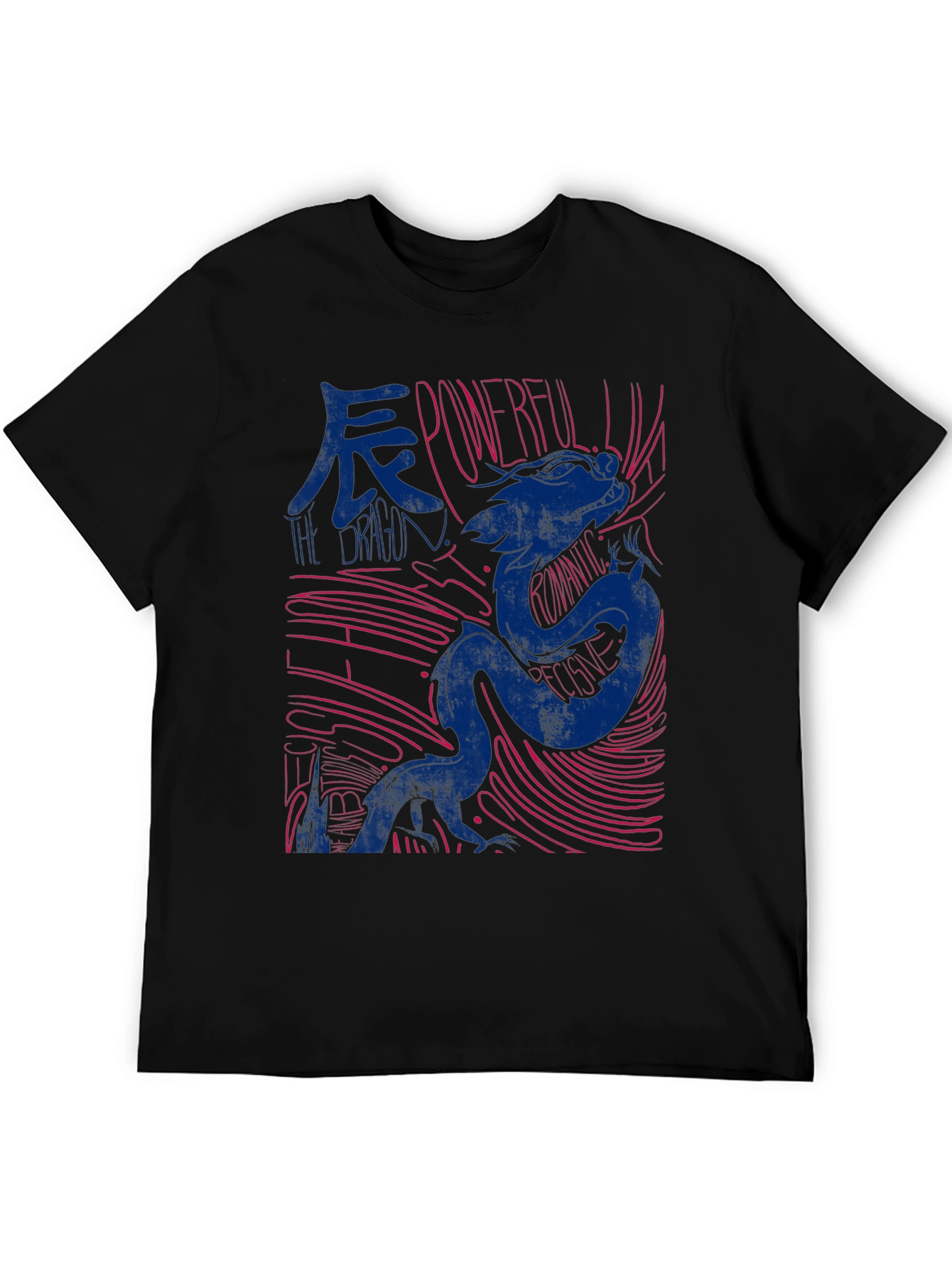 Dragon Graphic Print T-Shirt