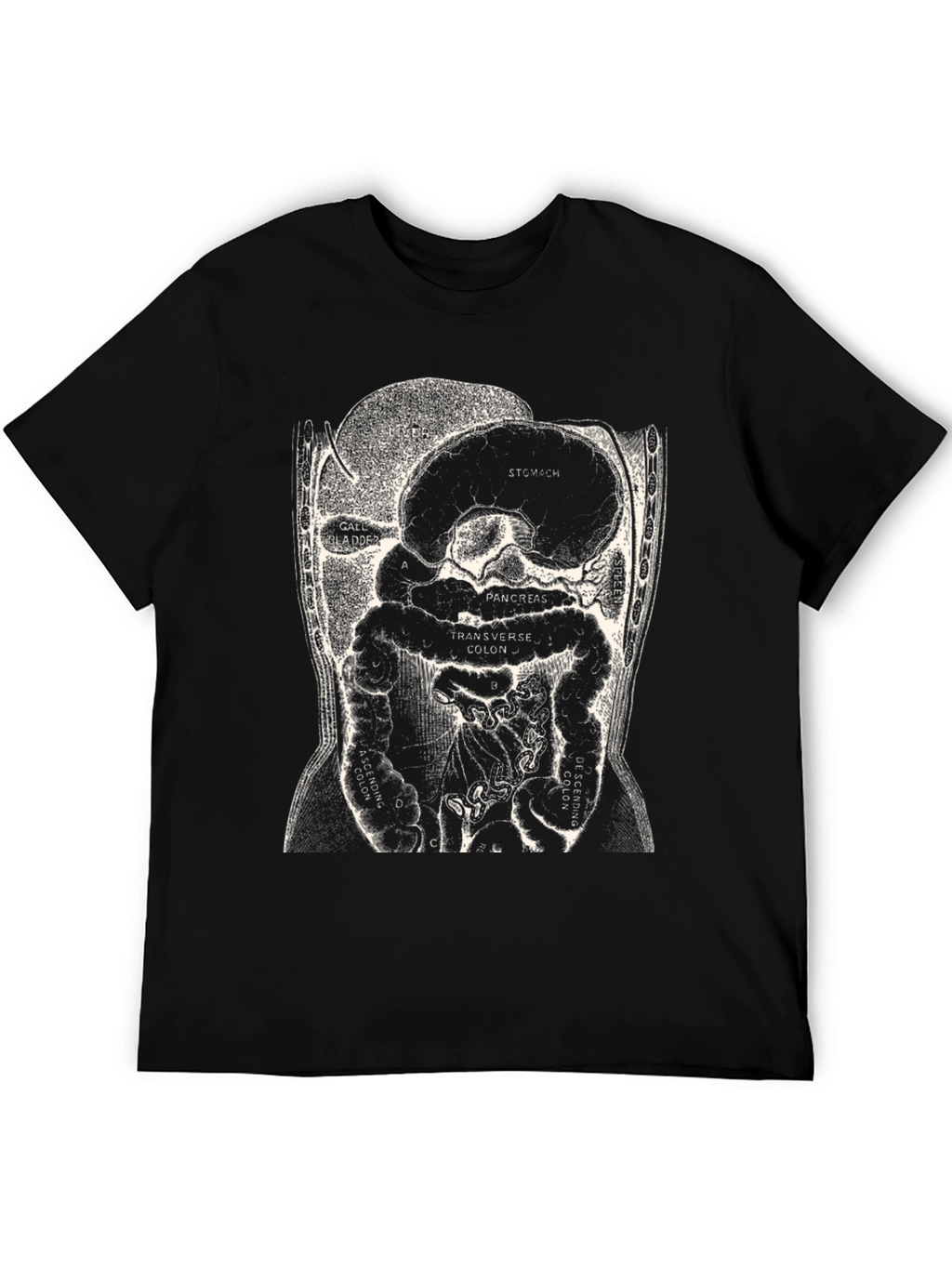 Anatomy T-Shirt - Digestive System Graphic Tee