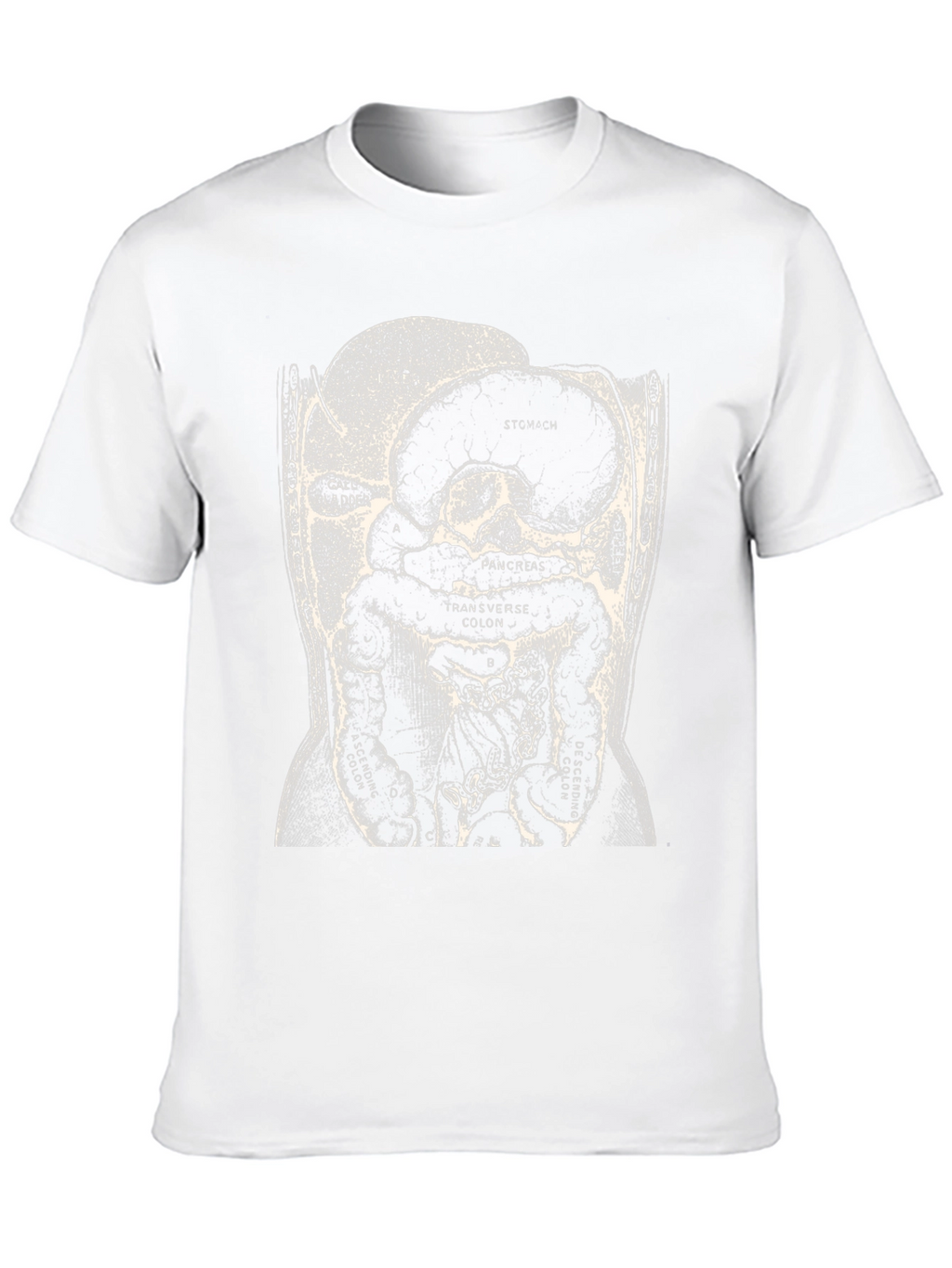 Anatomy T-Shirt - Digestive System Graphic Tee