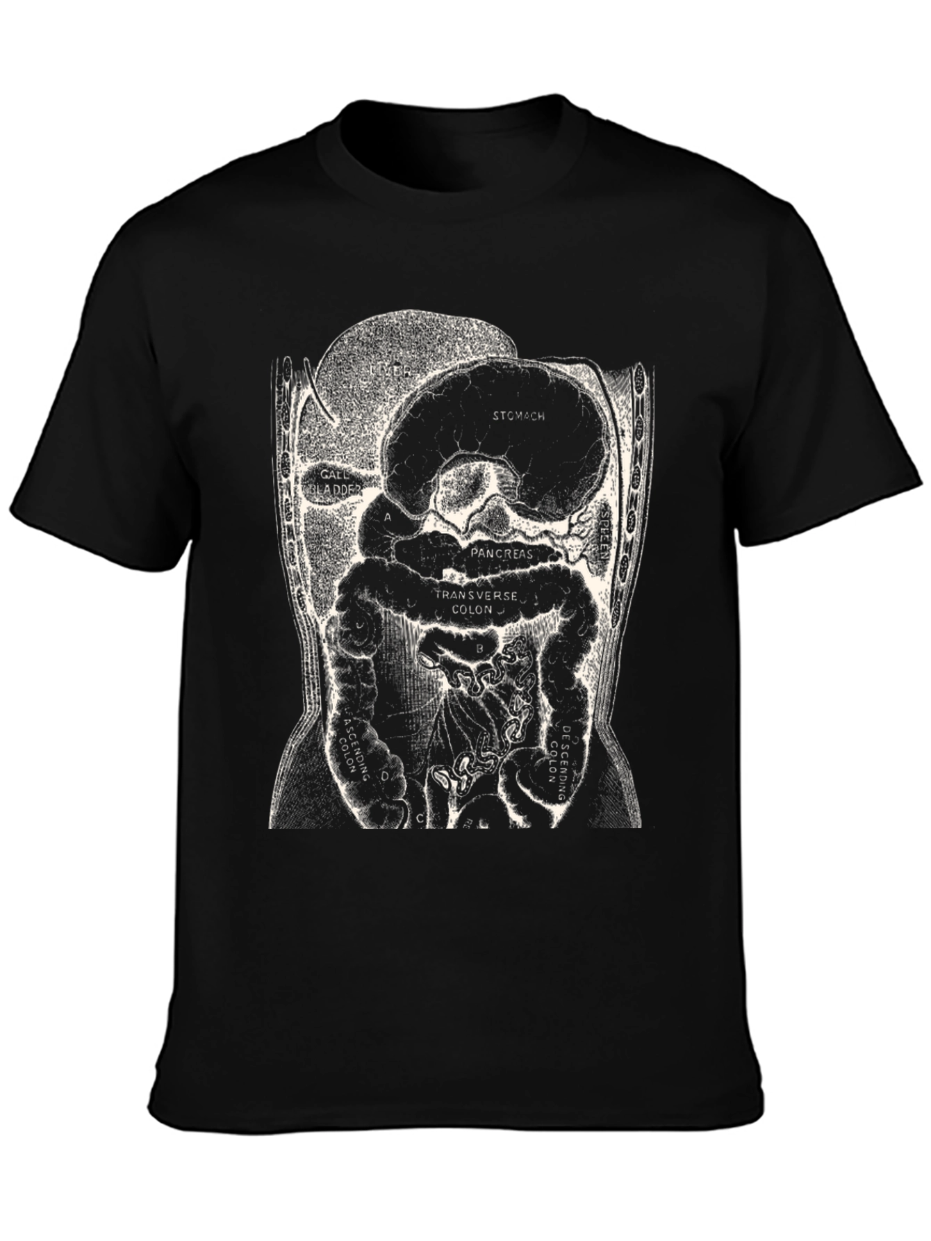 Anatomy T-Shirt - Digestive System Graphic Tee