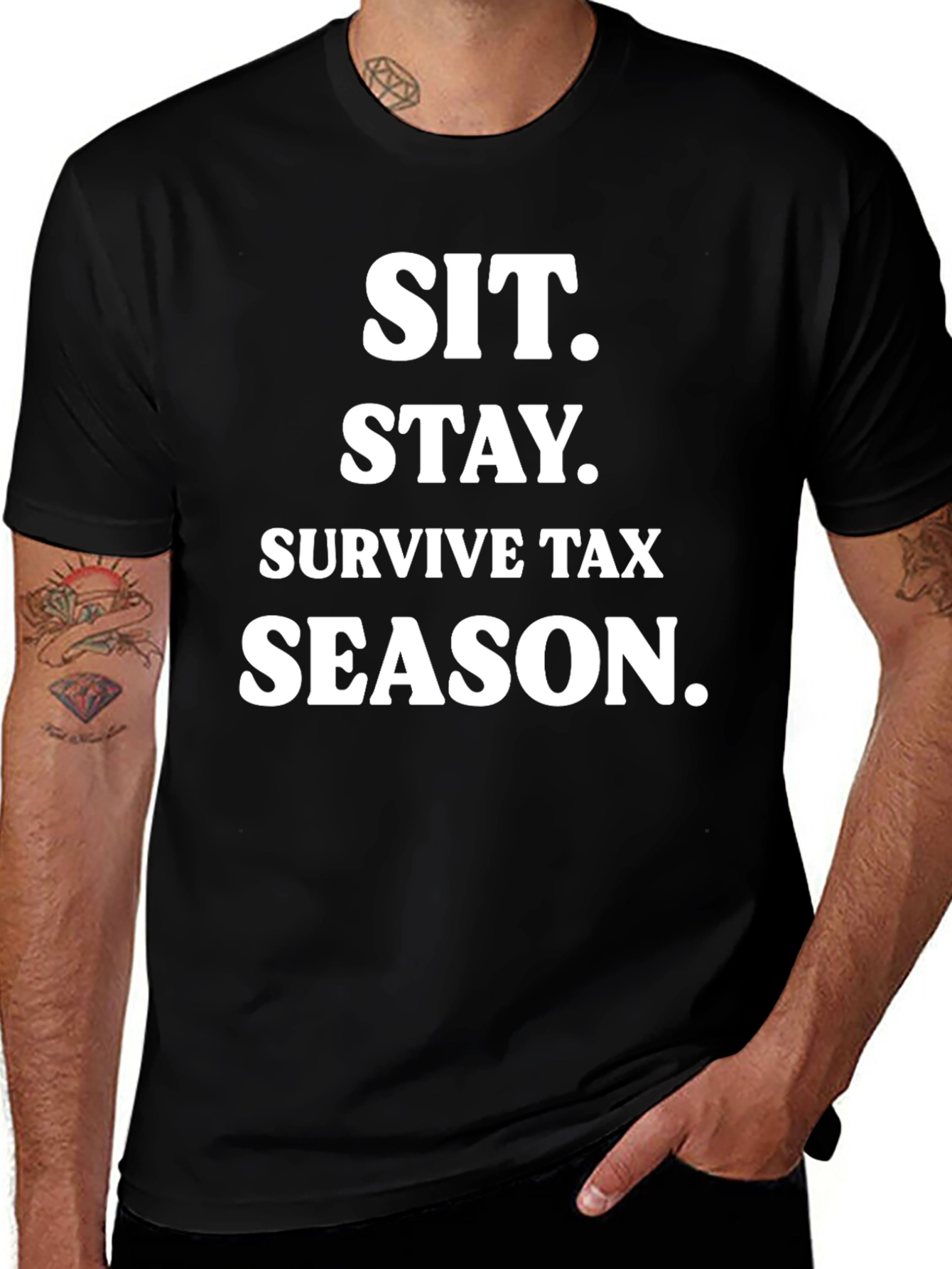 Sit. Stay. Survive Tax Season. Black T-Shirt
