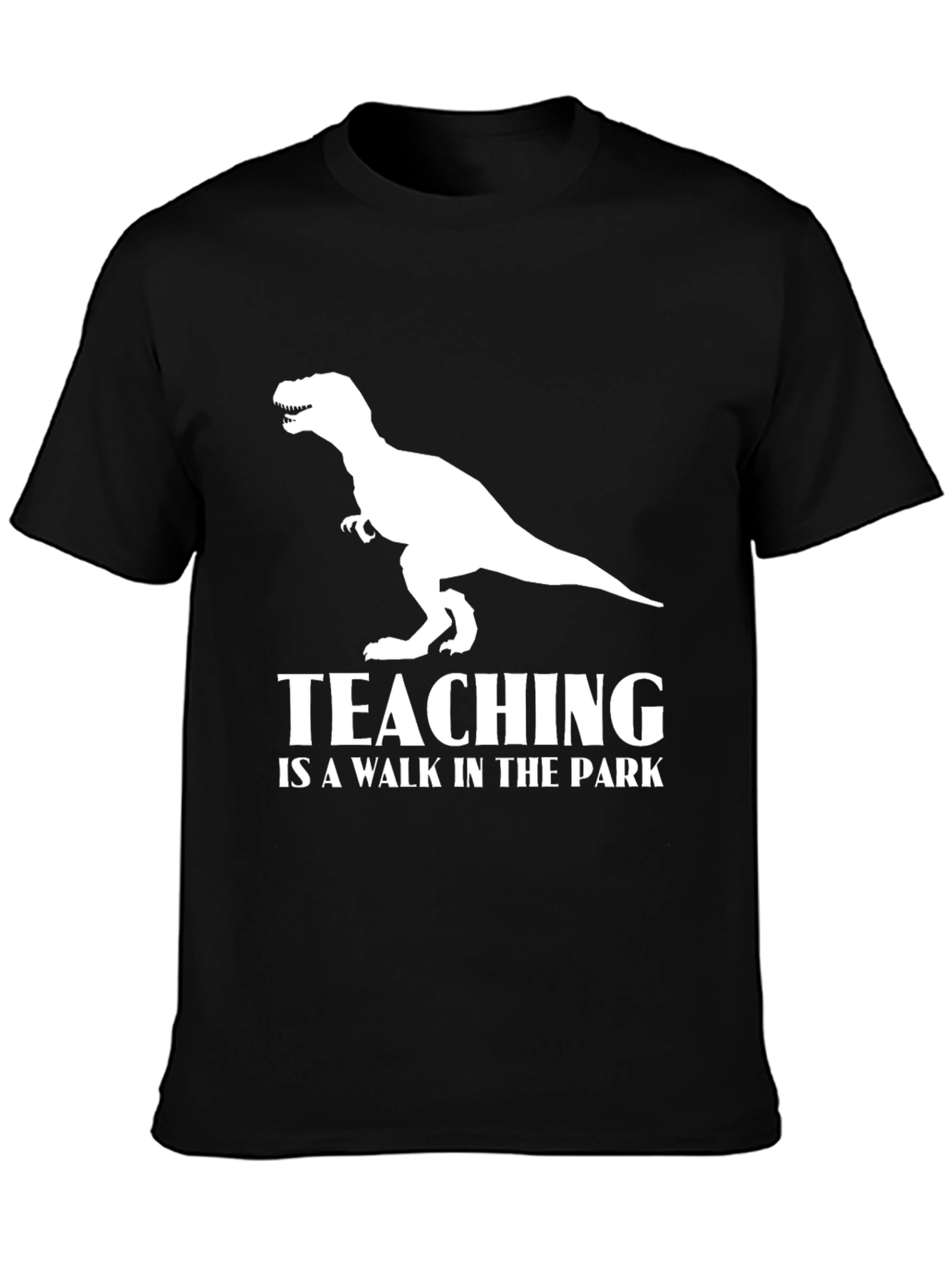 Teaching Dinosaur T-Shirt Funny Teacher Tee