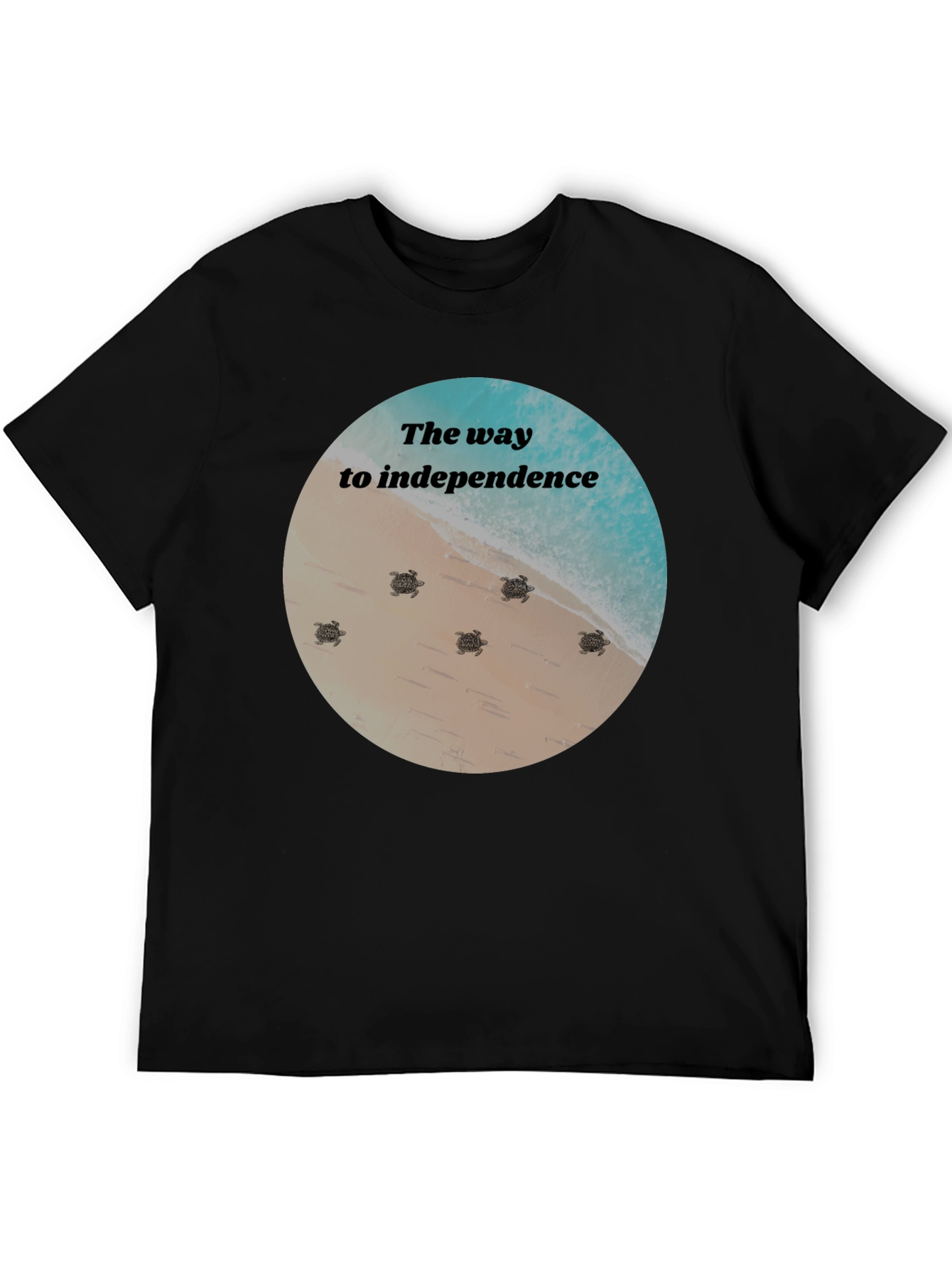Independence Turtles Graphic Tee
